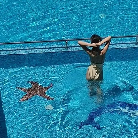 весела-хоризонт Süzebolu